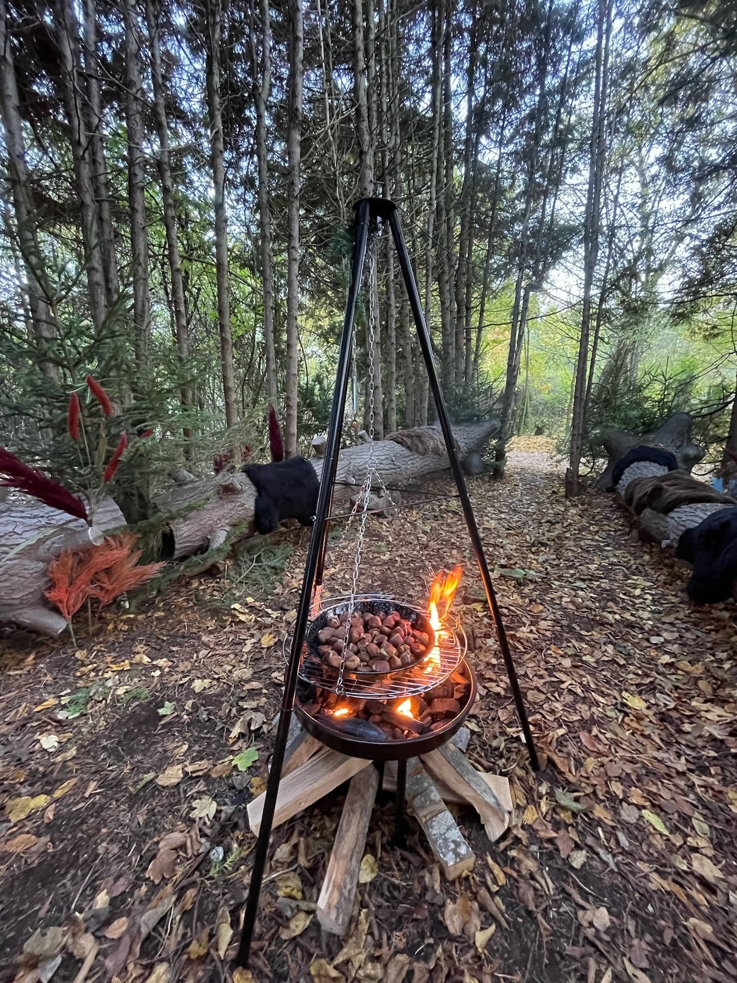 Ein Grill-Catering von CSL Catering in München im Wald - ein Catering der besonderen Art